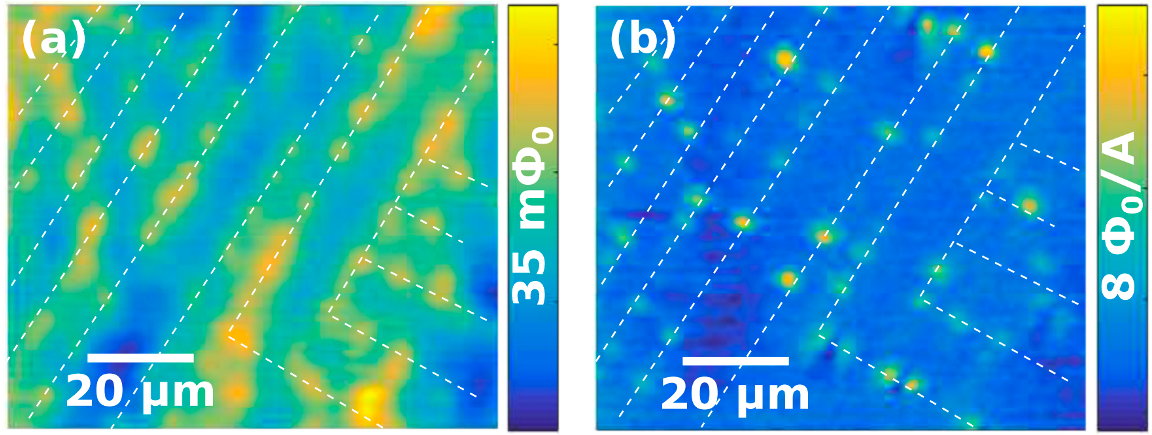 Vortices were pinned along the twin boundaries on FeSe(a). The local pinning potential is anisotropic along the twin boundaries(b). Reprinted figure from [2]. Copyright 2019, by American Physical Society.